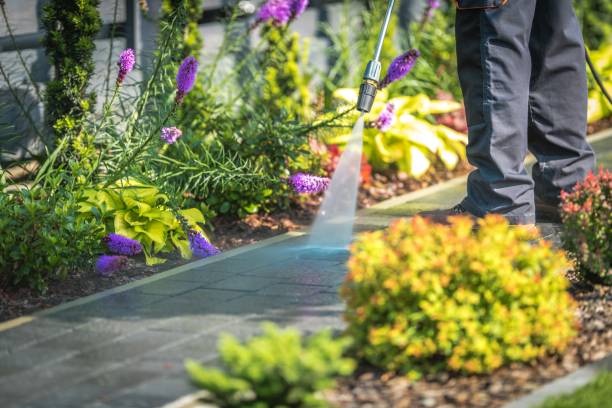 Trusted Fairlea, WV Pressure Washing Services Experts
