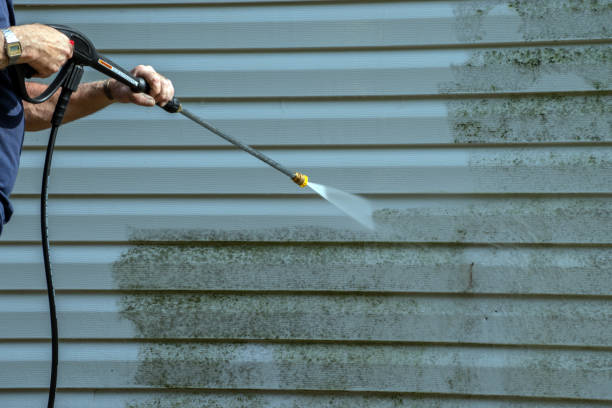 Best Window and Screen Pressure Cleaning in Fairlea, WV